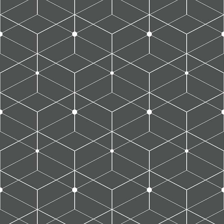 Lines and Geometrics Dreamweb Onyx