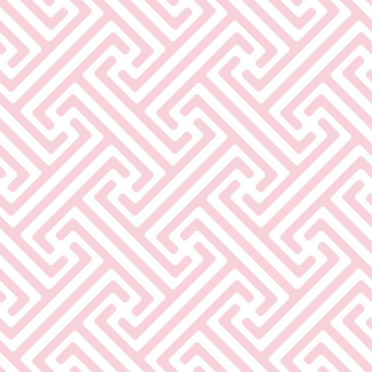 Lines and Geometrics Locked in Place Flamingo